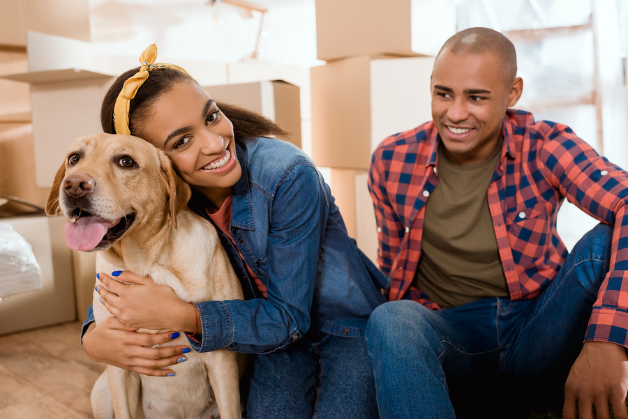 Pet-friendly apartment